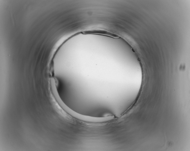 X0000091061200200709041152