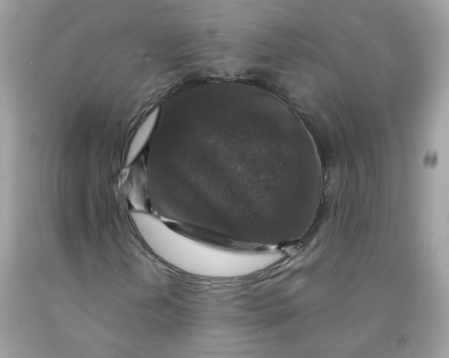 X0000091061202200709041151