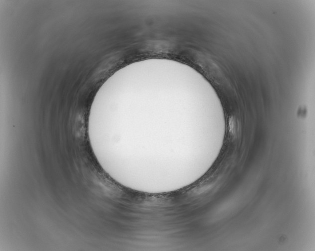 X0000091061203200709041151