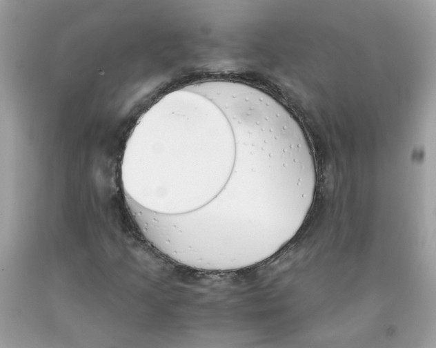 X0000091061205200709041151