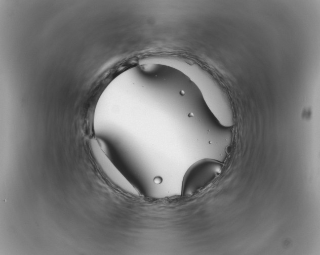 X0000091061206200709041151