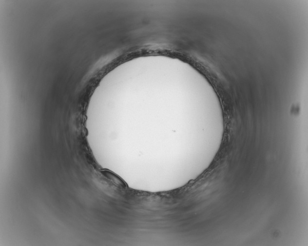 X0000091061207200709041151