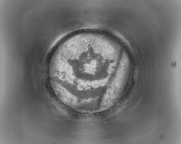 X0000091061208200709041151