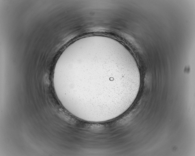 X0000091061209200709041151