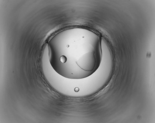 X0000091061210200709041151