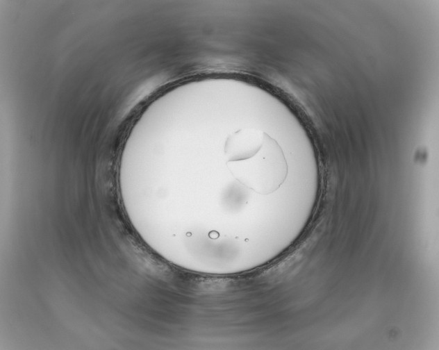 X0000091061211200709041151