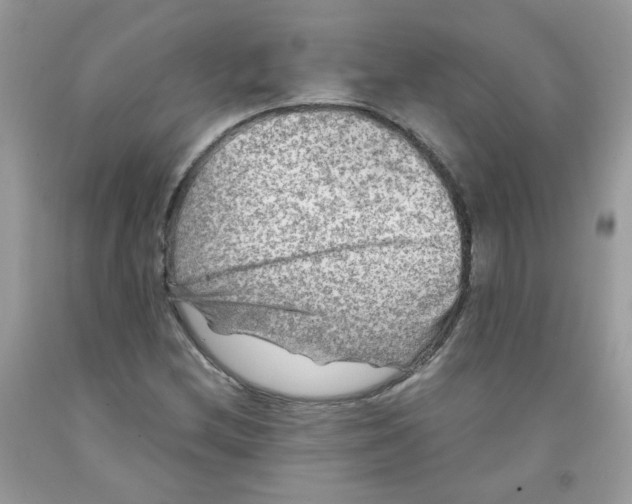 X0000091061212200709041151