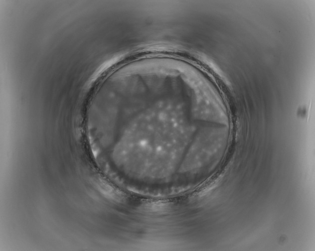 X0000091061213200709041151