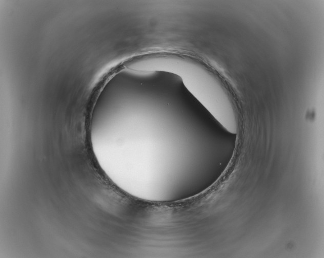 X0000091061214200709041151