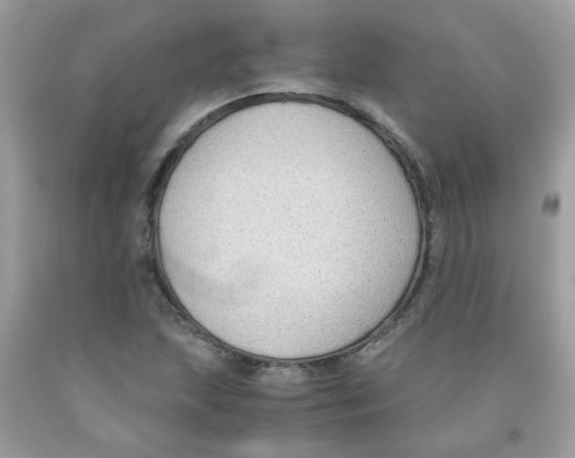 X0000091061215200709041151