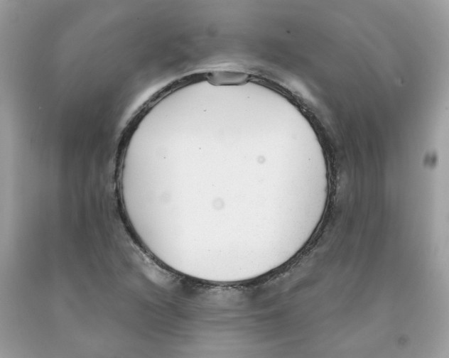 X0000091061216200709041151