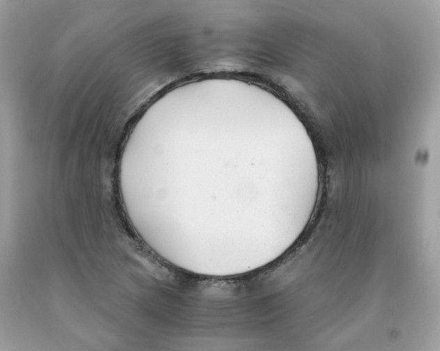 X0000091061217200709041151