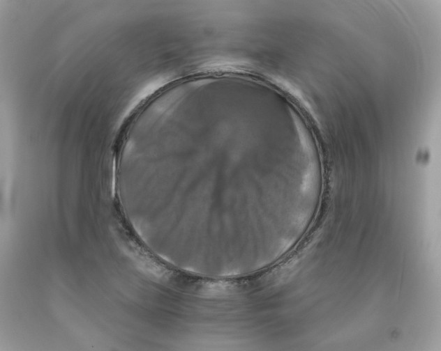 X0000091061219200709041151