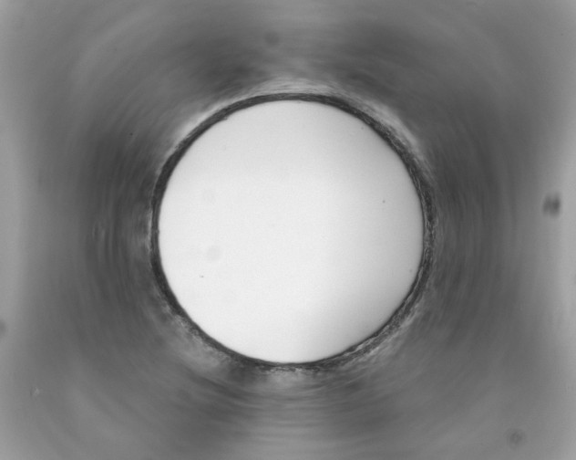 X0000091061220200709041151