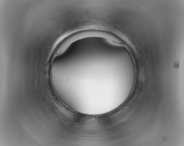 X0000091061222200709041151