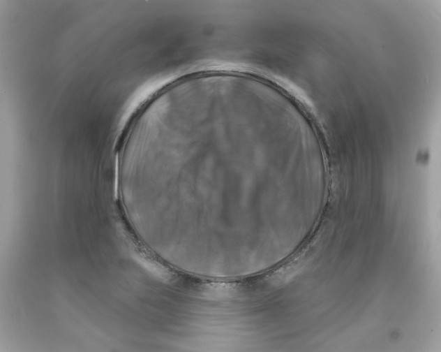 X0000091061223200709041151