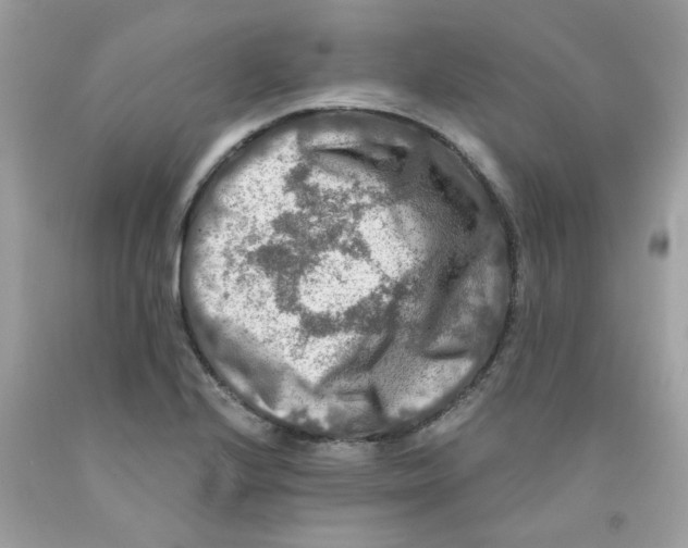 X0000091061224200709041151