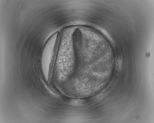 X0000091061225200709041151