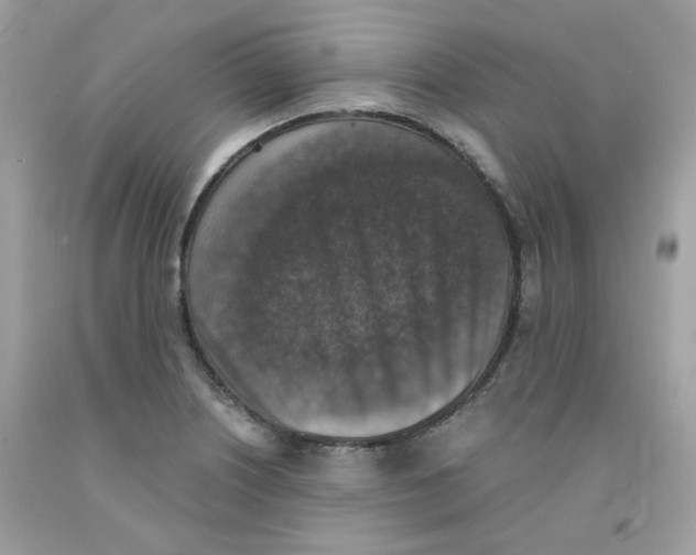 X0000091061226200709041151