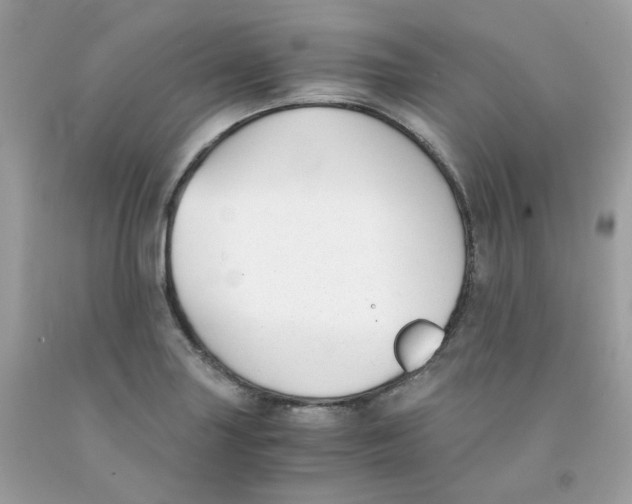 X0000091061227200709041151