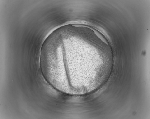 X0000091061228200709041151