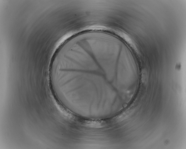 X0000091061229200709041152