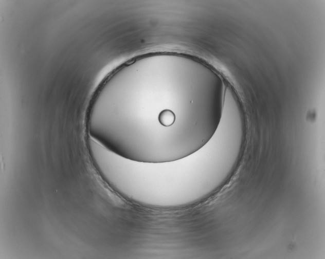 X0000091061230200709041152