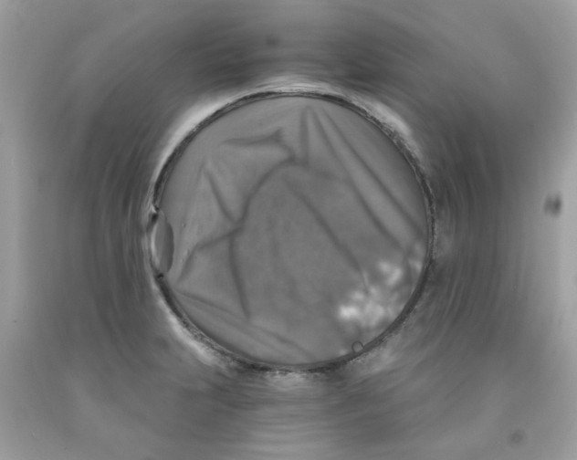 X0000091061231200709041152