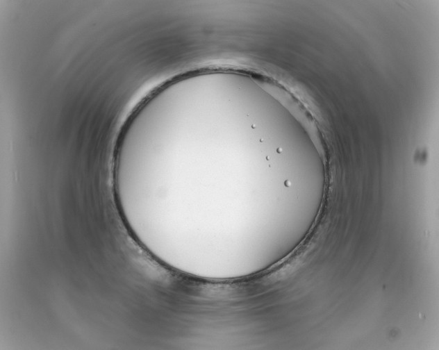 X0000091061232200709041152