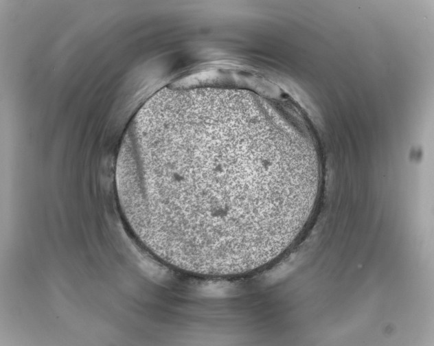 X0000091061233200709041152