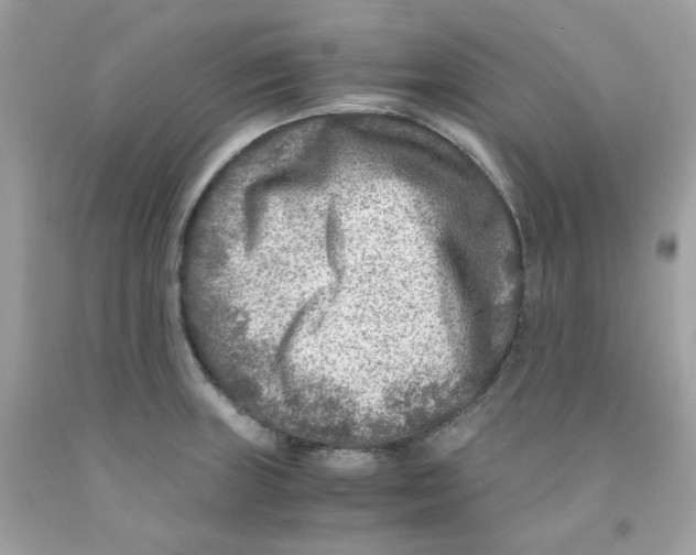 X0000091061235200709041152