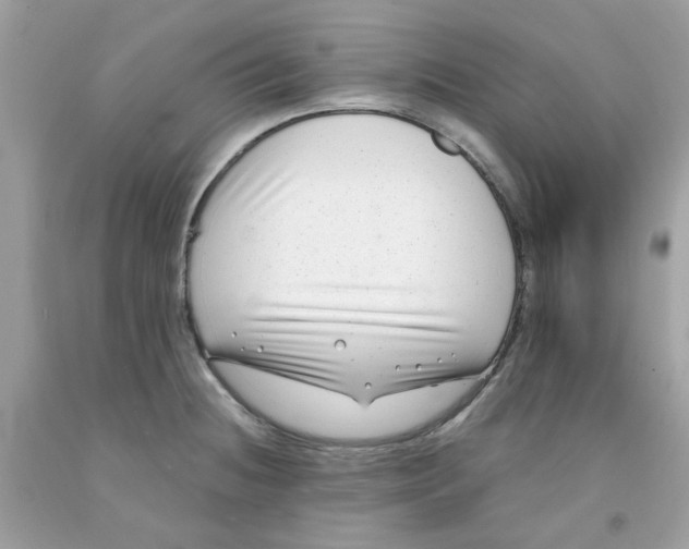 X0000091061236200709041152