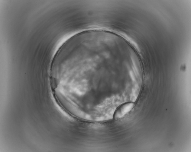 X0000091061239200709041152