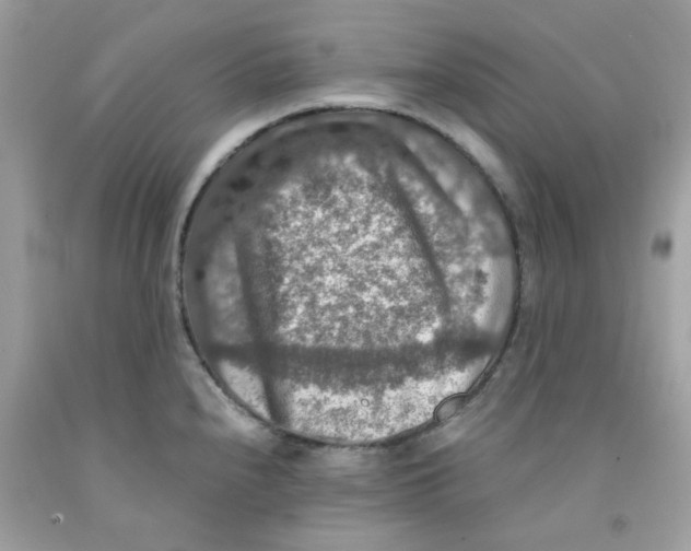 X0000091061240200709041152