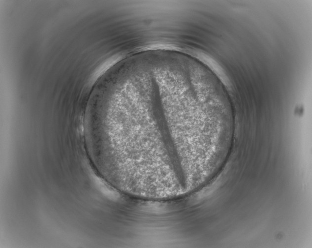 X0000091061241200709041152