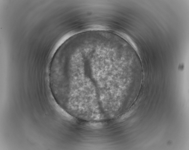 X0000091061243200709041152