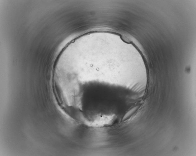 X0000091061245200709041152