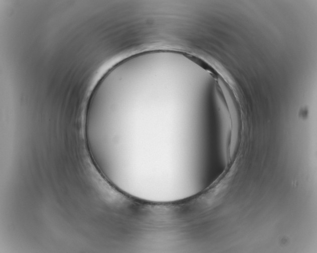 X0000091061246200709041152