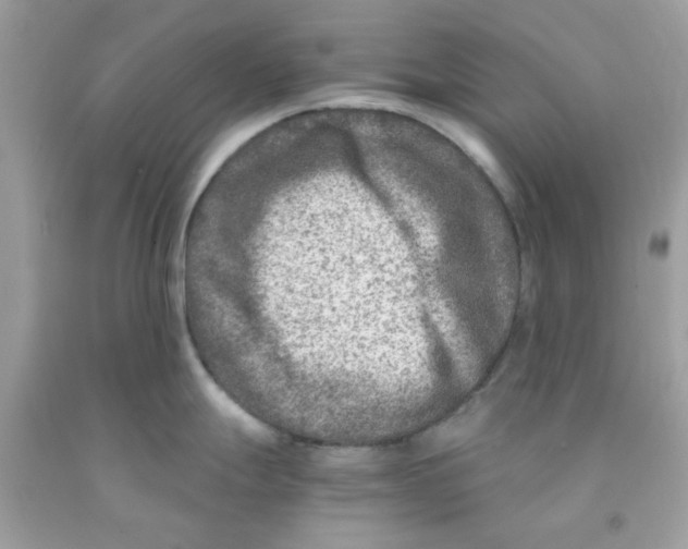 X0000091061247200709041152