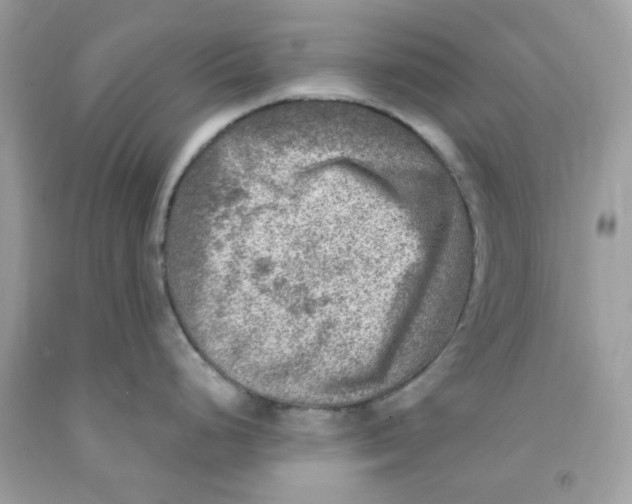 X0000091061248200709041152