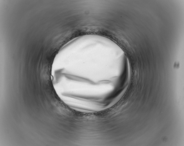 X0000091061250200709041151