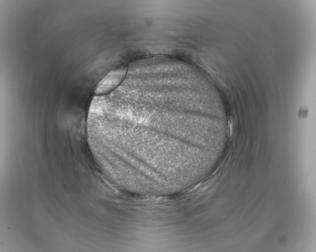 X0000091061251200709041151