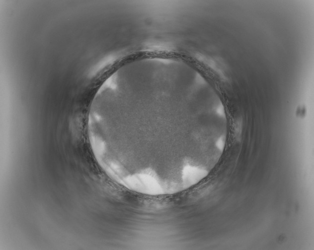 X0000091061254200709041151