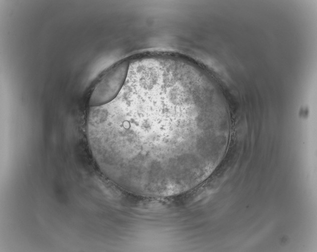 X0000091061255200709041151