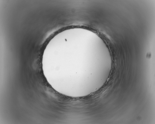 X0000091061256200709041151