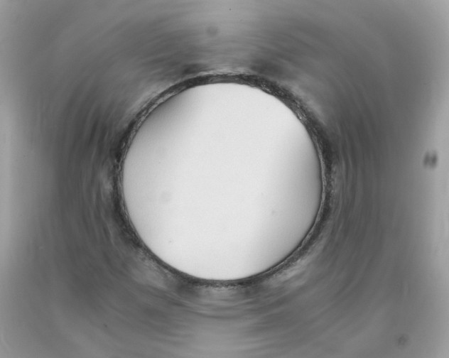 X0000091061257200709041151