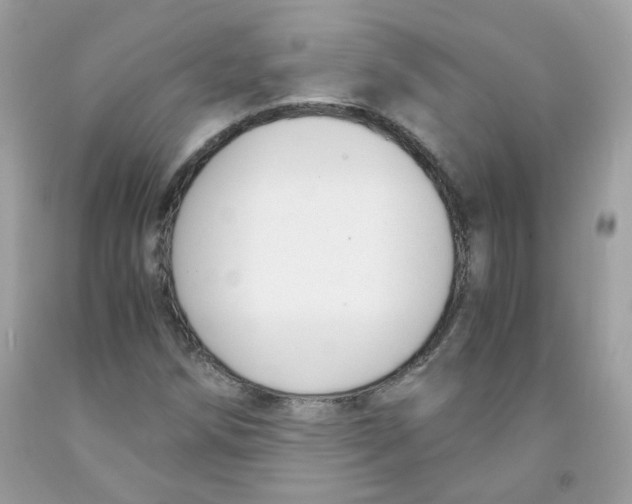 X0000091061258200709041151