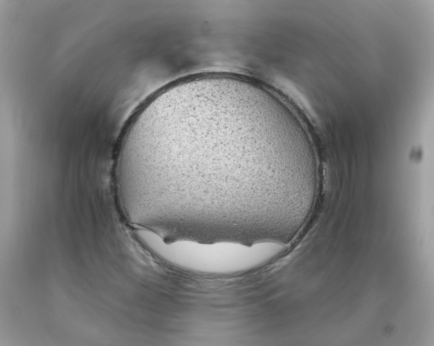 X0000091061260200709041151