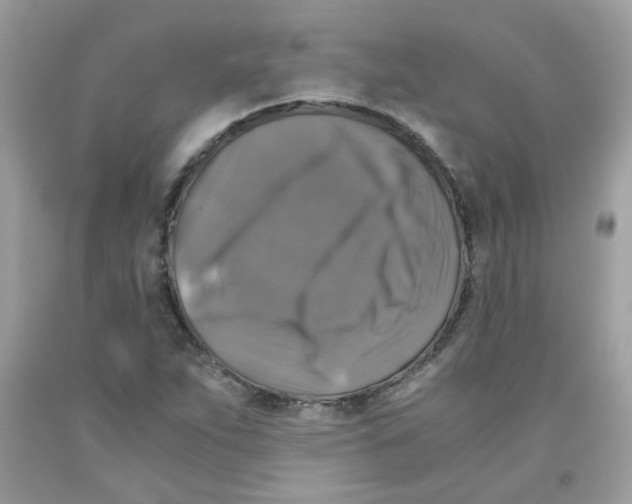 X0000091061263200709041151