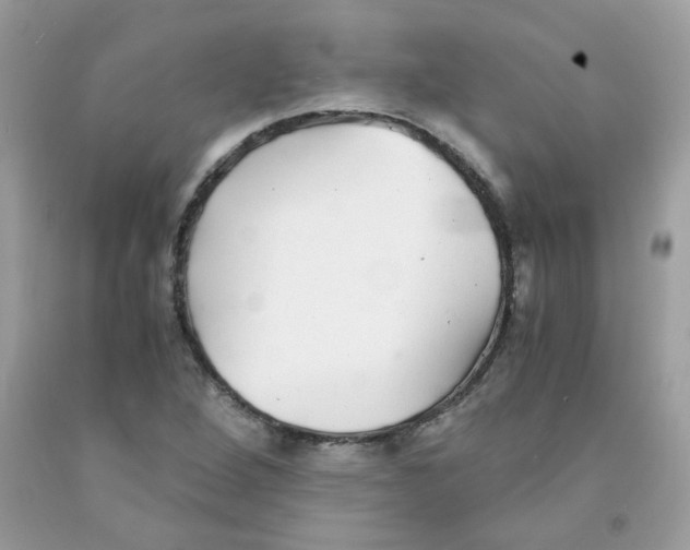 X0000091061264200709041151